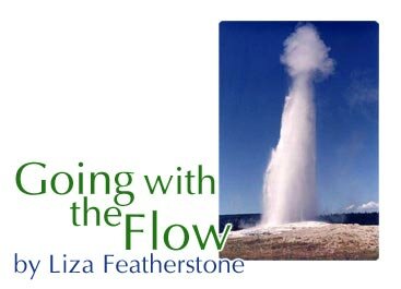 Going with the Flow by Liza Featherstone