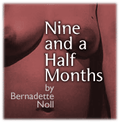 Nine and a Half Months by Bernadette Noll
