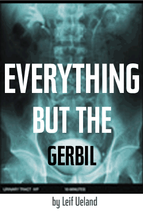 Everything but the Girbil by Leif Ueland