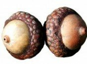 Controversial judge may lose his job for distributing condom-stuffed acorns