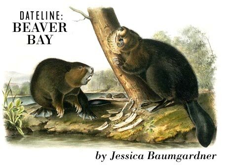 Dateline: Beaver Bay by Jessica Baumgardner