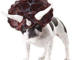 PET20104-Triceratops-Dog-Costume-large