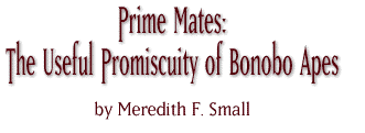 Prime Mates: The Useful Promiscuity of Bonobo Apes by Meredith F. Small